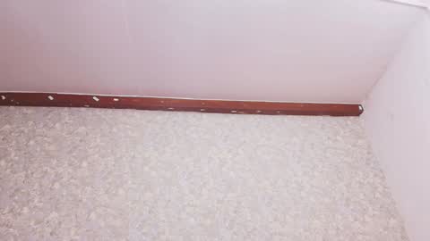 Snapshot of nicol_ferrer chatting on December 2024 07:21:02 PM Nicol online show from December 2024 07:21:02 PM