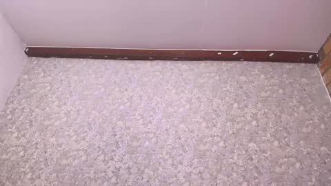 Snapshot of nicol_ferrer chatting on December 2024 07:14:01 PM Nicol online show from December 2024 07:14:01 PM