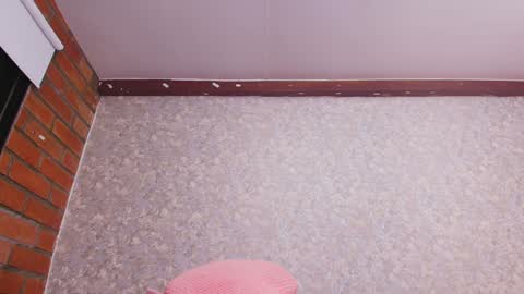 Snapshot of nicol_ferrer chatting on December 2024 01:15:02 AM Nicol online show from December 2024 01:15:02 AM