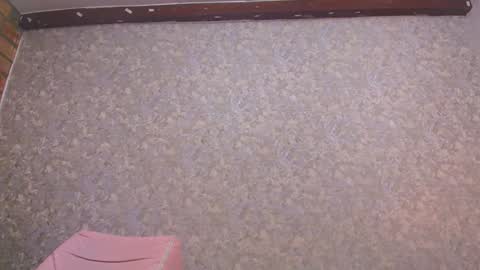 Snapshot of nicol_ferrer chatting on January 2025 07:21:02 PM Nicol online show from January 2025 07:21:02 PM