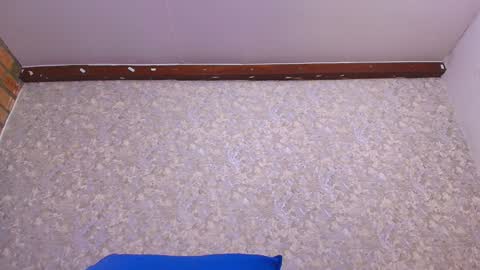 Snapshot of nicol_ferrer chatting on January 2025 07:10:01 PM Nicol online show from January 2025 07:10:01 PM