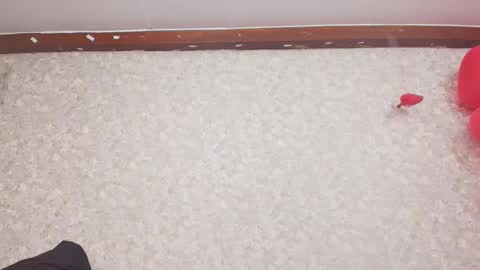 Snapshot of nicol_ferrer chatting on February 2025 07:17:02 PM Nicol online show from February 2025 07:17:02 PM