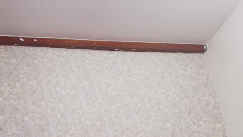 Snapshot of nicol_ferrer chatting on March 2025 07:17:02 PM Nicol online show from March 2025 07:17:02 PM