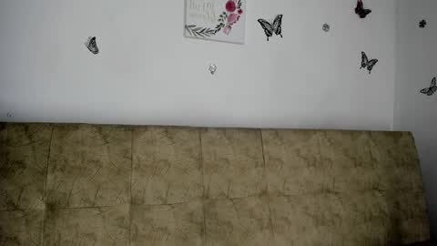 Nicol online show from December 2024 09:17:02 AM