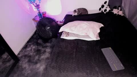 Nicol independent model online show from February 2025 10:32:01 PM