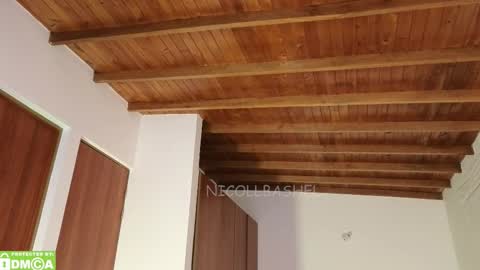 Nicoll  Independent model online show from October 2025 07:58:01 AM