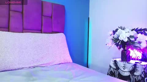 Snapshot of niinaink chatting on February 2025 12:13:02 PM NINAINK online show from February 2025 12:13:02 PM