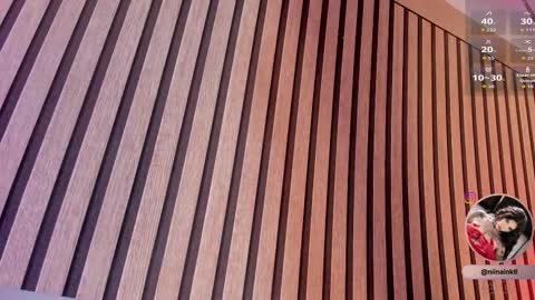 Snapshot of niinaink chatting on January 2026 12:53:02 PM NINAINK online show from January 2026 12:53:02 PM