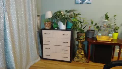 Nika online show from May 2026 06:46:01 PM