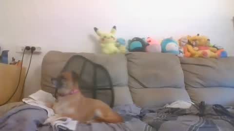 Snapshot of nikeair305 chatting on October 2025 06:36:01 AM Brian and Logan Brogan online show from October 2025 06:36:01 AM