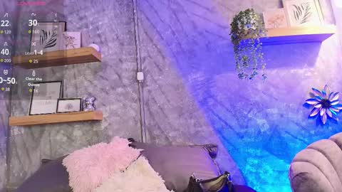    online show from February 2026 07:12:01 PM