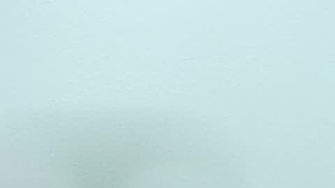 Nilly online show from December 2024 08:20:02 AM