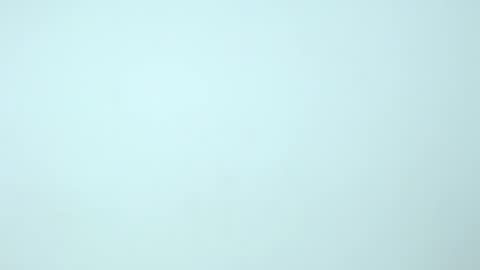 Nilly online show from December 2024 11:24:01 AM