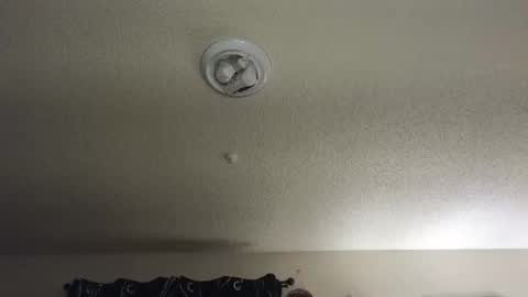 Nikki Mastersgirl1091 online show from November 2025 12:29:02 PM