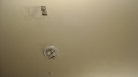 Nikki Mastersgirl1091 online show from March 2026 01:50:01 PM