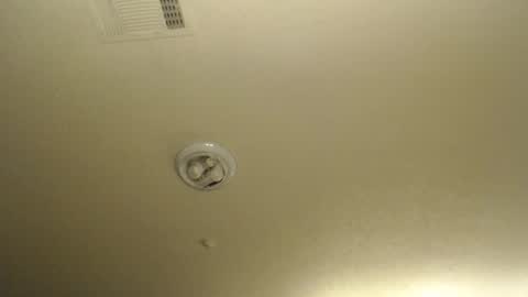 Nikki Mastersgirl1091 online show from April 2026 01:38:02 PM