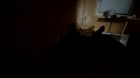 Snapshot of nikolay3032 chatting on September 2025 08:37:02 AM Nikk online show from September 2025 08:37:02 AM