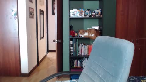 Snapshot of nina_moonbeam chatting on December 2025 08:07:02 PM Nina Moon online show from December 2025 08:07:02 PM