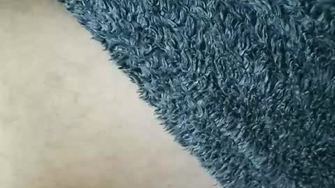 nineinchhard online show from January 2026 12:10:02 PM