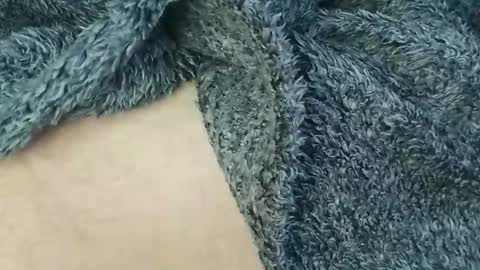 nineinchhard online show from February 2026 10:35:01 AM