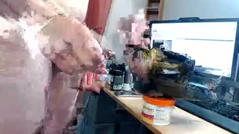 ninetynine_99 online show from June 2026 05:25:01 PM