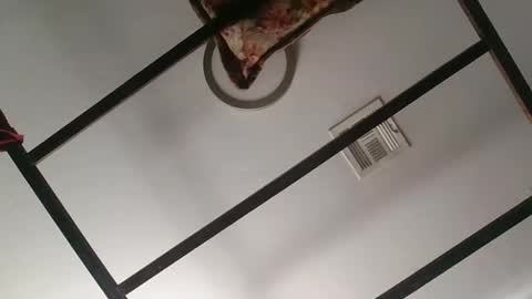 nipplechaser online show from January 2025 05:37:01 PM