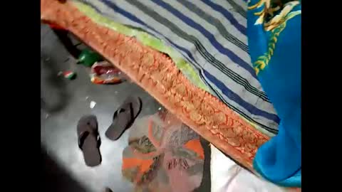 Nisha online show from December 2024 01:00:02 AM