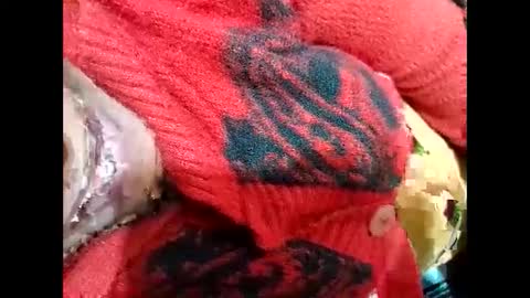 Nisha online show from January 2025 03:44:01 PM