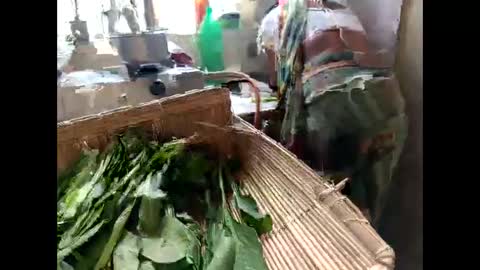 Nisha online show from January 2025 06:49:02 AM