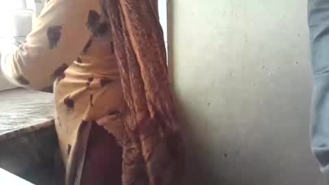 Nisha online show from January 2025 02:30:01 AM