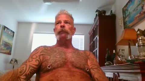 Snapshot of njdbear chatting on November 2025 09:28:01 PM Don online show from November 2025 09:28:01 PM