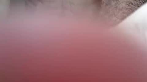 Snapshot of nkdarg chatting on March 2026 01:46:02 AM nkdarg online show from March 2026 01:46:02 AM