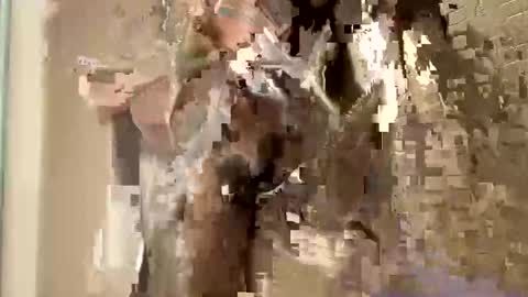 Snapshot of nnm110 chatting on February 2025 09:37:01 AM nnm110 online show from February 2025 09:37:01 AM