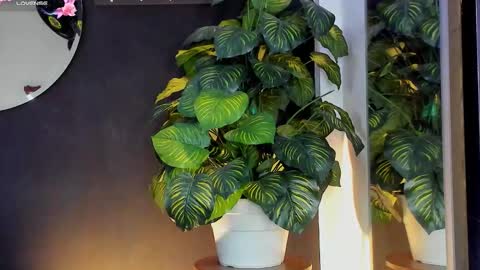 Noah  online show from March 2026 03:22:01 AM