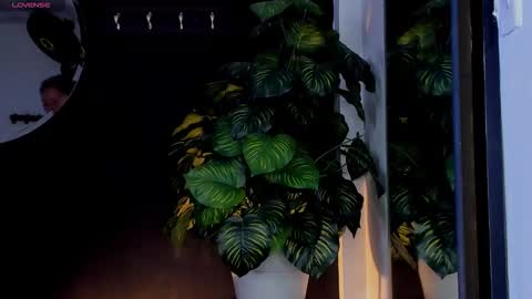 Noah  online show from March 2026 03:23:01 AM