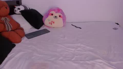 Snapshot of noah_beck42 chatting on November 2025 11:59:01 PM Sara online show from November 2025 11:59:01 PM