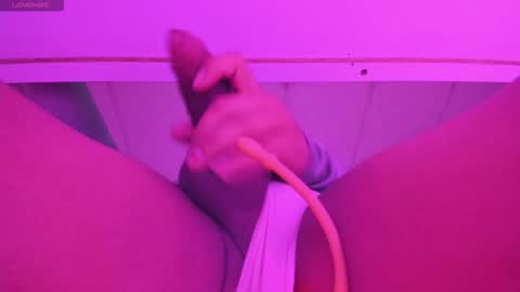 Snapshot of noah_cardigan chatting on December 2025 11:17:02 AM NOAH online show from December 2025 11:17:02 AM