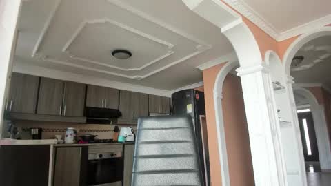  In instagram dayhannanoemi online show from February 2025 01:25:02 PM