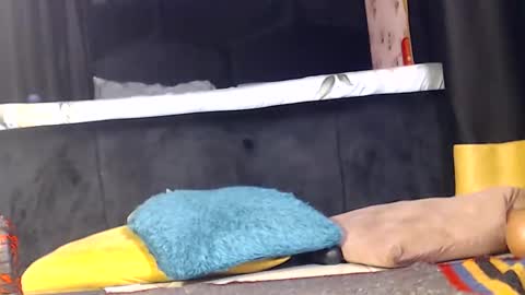 Snapshot of noircandy chatting on December 2024 10:03:01 PM Noir Thats My Name Call Me Bablicious online show from December 2024 10:03:01 PM