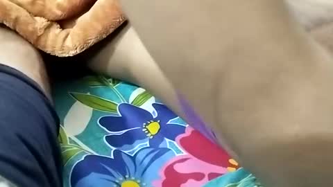 sim  nib online show from January 2025 08:44:01 PM