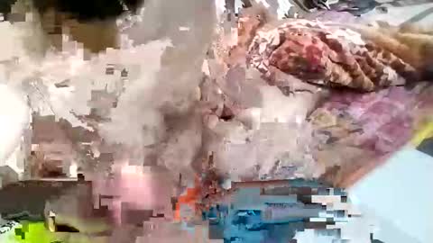 sim  nib online show from January 2025 09:29:02 AM