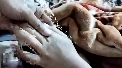 sim  nib online show from February 2026 01:15:01 AM