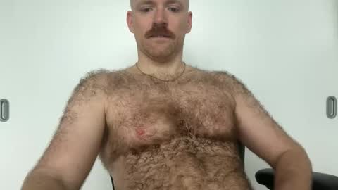 Snapshot of noplann chatting on January 2026 02:41:02 PM No Plan online show from January 2026 02:41:02 PM