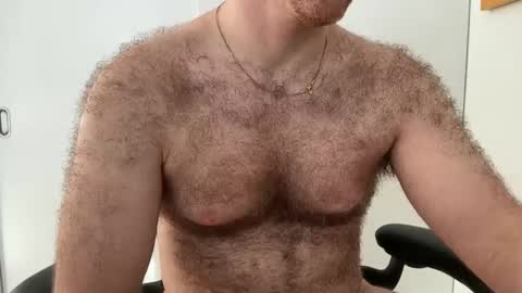 Snapshot of noplann chatting on February 2026 01:53:02 PM No Plan online show from February 2026 01:53:02 PM