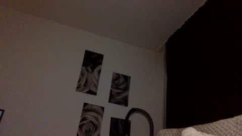 norablues online show from November 2025 08:18:01 PM