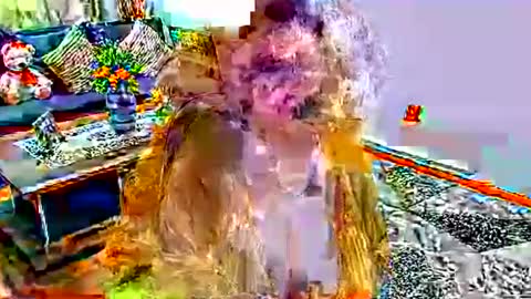 noraj66 online show from March 2026 01:59:02 PM