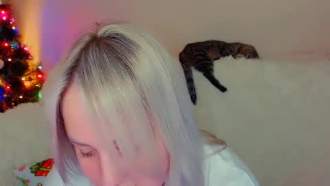 Snapshot of not_nakedcat chatting on December 2024 07:52:02 PM hi glad to chat online show from December 2024 07:52:02 PM