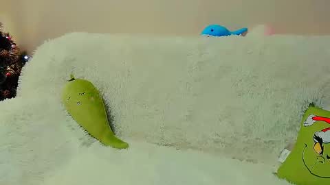 Snapshot of not_nakedcat chatting on January 2025 08:13:02 AM hi glad to chat online show from January 2025 08:13:02 AM