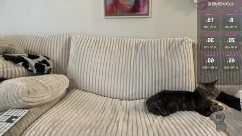 Snapshot of noturbabymoms chatting on December 2024 02:54:02 PM NotUrBabyMoms online show from December 2024 02:54:02 PM