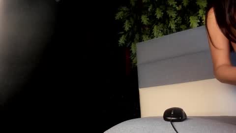 Novi online show from September 2025 07:59:01 PM